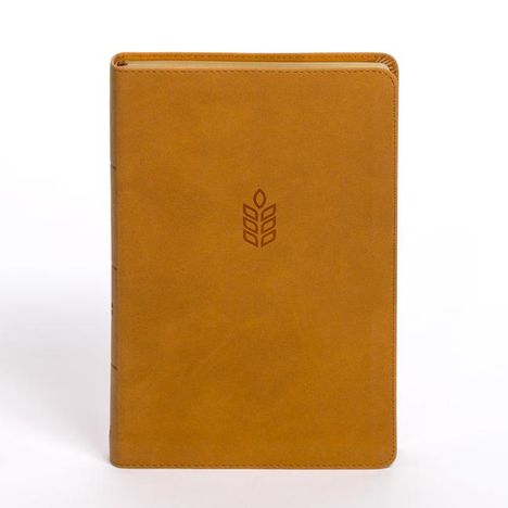 Csb Bibles By Holman: CSB Personal Size Giant Print Bible, Camel Suedesoft Leathertouch, Buch