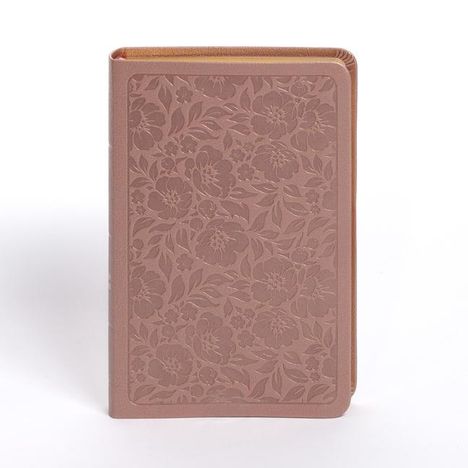 Holman Bible Publishers: NASB Personal Size Bible, Rose Gold Leathertouch, Buch
