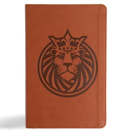 Csb Bibles By Holman: CSB Kids Bible, Anglicised Edition, Lion Leathertouch, Buch