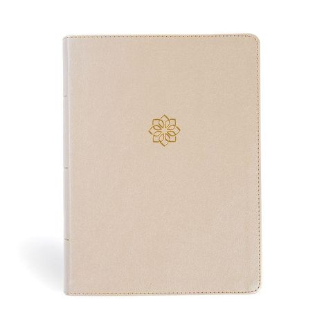 Csb Bibles By Holman: CSB Study Bible, Large Print, Digital Study Edition, Gold Leathertouch, Indexed, Buch