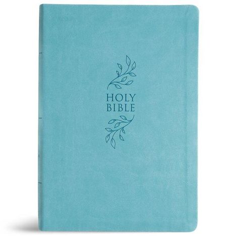 Text: "HOLY BIBLE" in der Mitte. Hellblaues Cover mit floralen Verzierungen.
