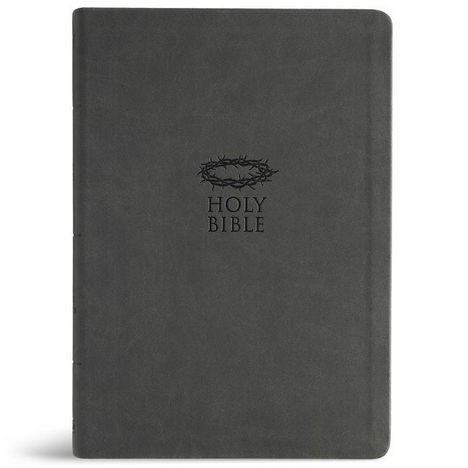 Der Text "Holy Bible" ist mittig platziert, darüber eine Dornenkrone. Schlichtes, einfarbiges Cover.
