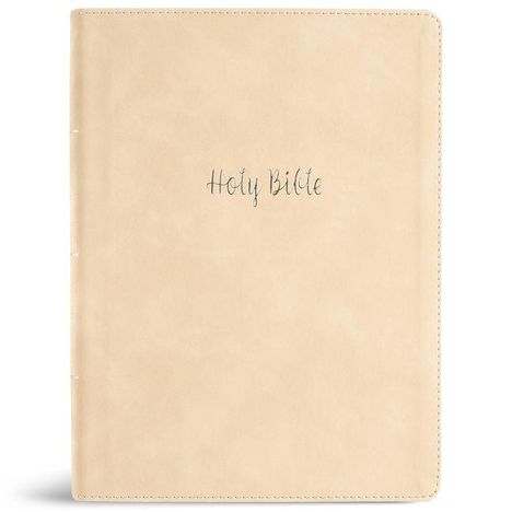 Text: "Holy Bible". Hellbrauner Einband mit minimalistischen Design.