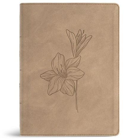 Keine erkennbaren Texte. Illustration einer zarten Lilienblume auf einer beigen Oberfläche, elegant und schlicht gezeichnet.