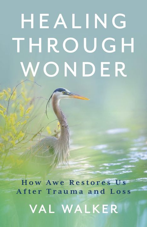 Val Walker: Healing Through Wonder, Buch