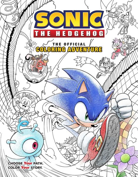 Ian Flynn: Sonic the Hedgehog: The Official Coloring Adventure, Buch