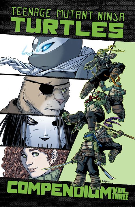 „Teenage Mutant Ninja Turtles Compendium Vol. Three“. Comic-Helden und maskierte Gesichter in dynamischen Posen.
