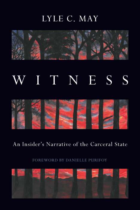 Lyle C. May: Witness: An Insider's Narrative of the Carceral State, Buch