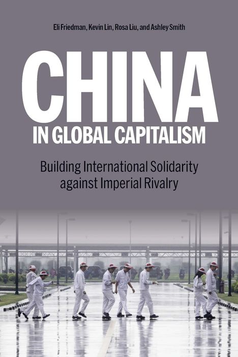 Kevin Lin: China in Global Capitalism, Buch
