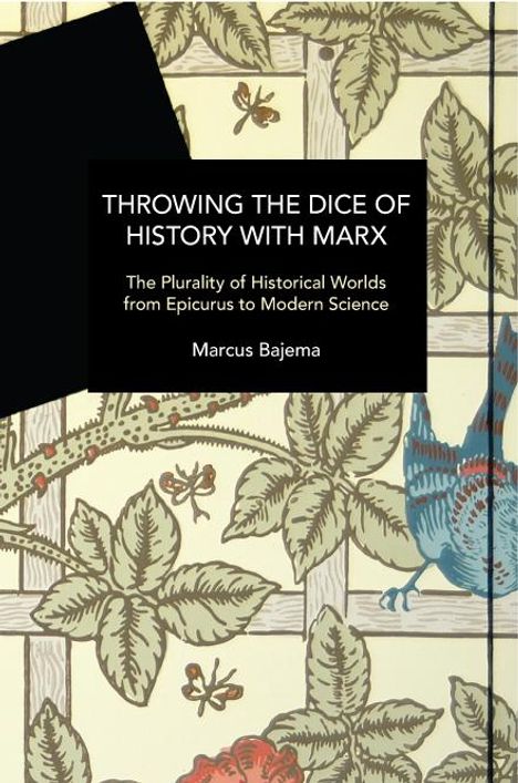 Marcus Bajema: Throwing the Dice of History with Marx, Buch