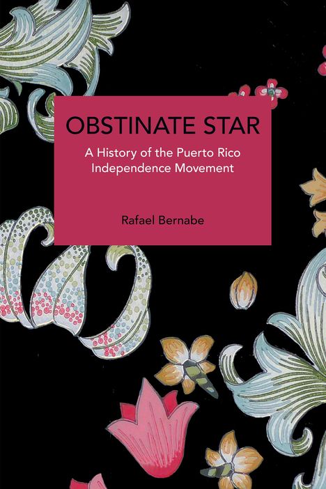 Rafael Bernabe: Obstinate Star, Buch