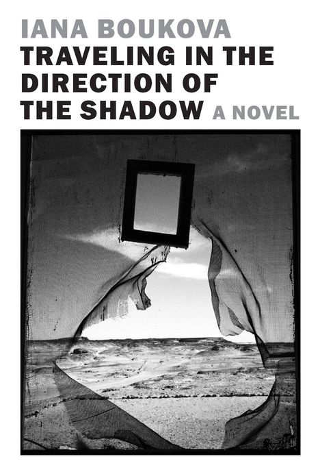 „Iana Boukova: Traveling in the Direction of the Shadow. A Novel.“ Ein beschädigtes Netz mit Blick auf eine Wüstenlandschaft.
