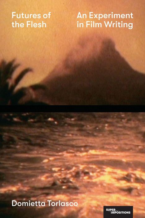 Oben: "Futures of the Flesh" und "An Experiment in Film Writing". Unten: "Domietta Torlasco". Hintergrund: Vulkan und Wasser.
