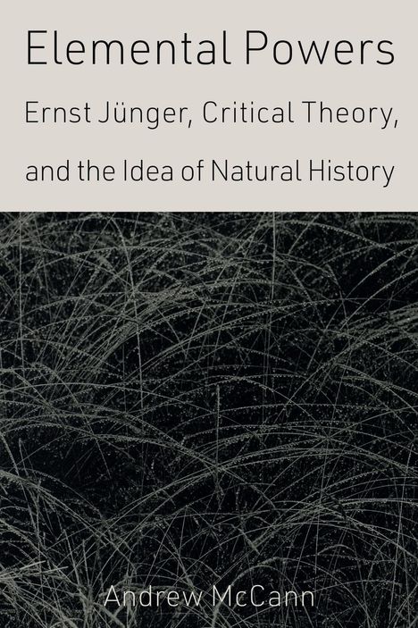 "Elemental Powers: Ernst Jünger, Critical Theory, and the Idea of Natural History" von Andrew McCann. Linienmuster im Hintergrund.