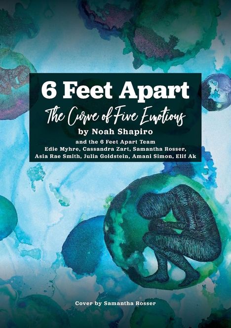 Noah Shapiro: 6 Feet Apart, Buch