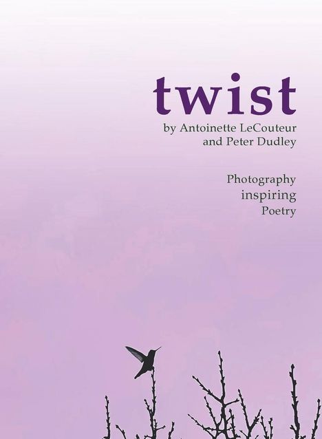 Peter J Dudley: twist, Buch