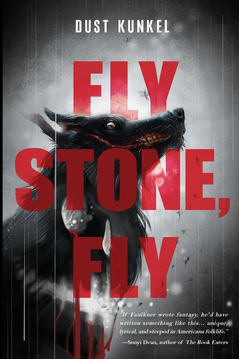 Dust Kunkel: Fly Stone, Fly, Buch