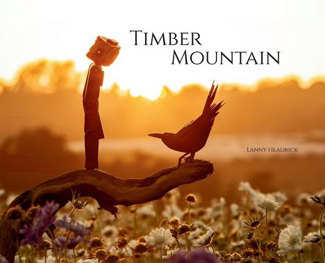 Lanny Headrick: Timber Mountain, Buch