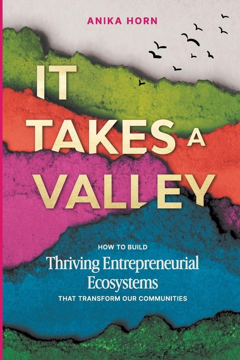 Text: "ANIKA HORN, IT TAKES A VALLEY, HOW TO BUILD Thriving Entrepreneurial Ecosystems THAT TRANSFORM OUR COMMUNITIES". Bunte Papierstruktur.