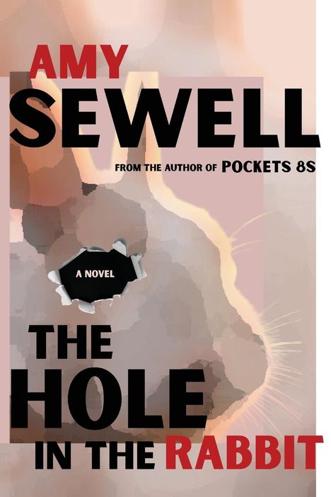 Amy Sewell: The Hole In The Rabbit, Buch