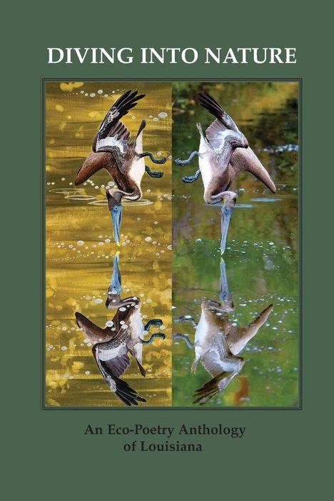 "Diving into Nature: An Eco-Poetry Anthology of Louisiana. Illustration von tauchenden Vögeln im Wasser."