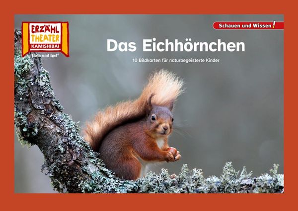 Das Eichhörnchen / Kamishibai Bildkarten (Buch)
