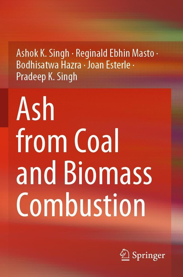Ash from Coal and Biomass Combustion - Ashok K. Singh (Buch)