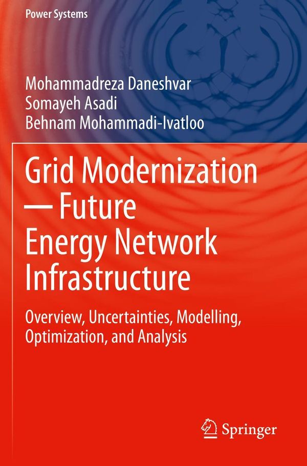 Grid Modernization - Future Energy Network Infrastructure (Buch)
