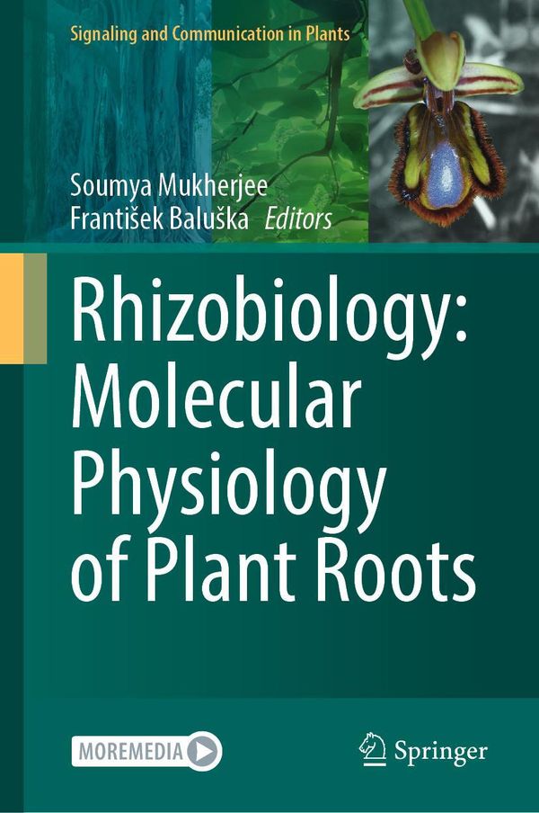 Rhizobiology: Molecular Physiology of Plant Roots (Buch)