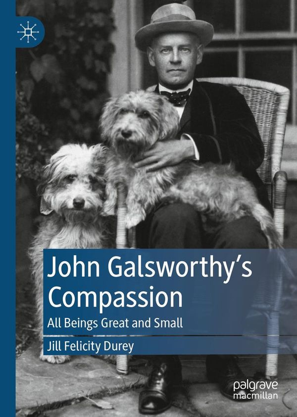 John Galsworthys Compassion - Jill Felicity Durey (Buch)