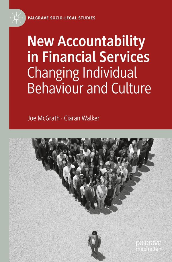 New Accountability in Financial Services - Joe Mcgrath (Buch)