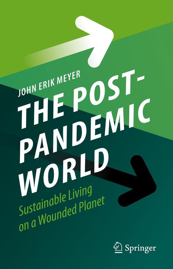 The Post-Pandemic World - John Erik Meyer (Buch)