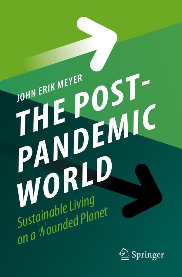 The Post-Pandemic World - John Erik Meyer (Buch)
