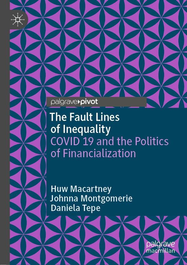 The Fault Lines of Inequality - Huw Macartney (Buch)