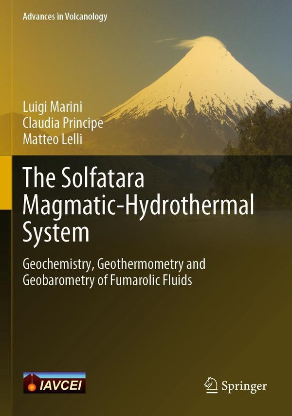 The Solfatara Magmatic-Hydrothermal System - Luigi Marini (Buch)