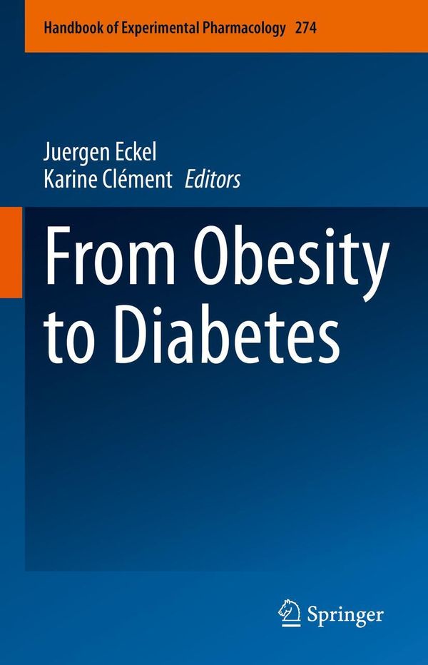 From Obesity to Diabetes