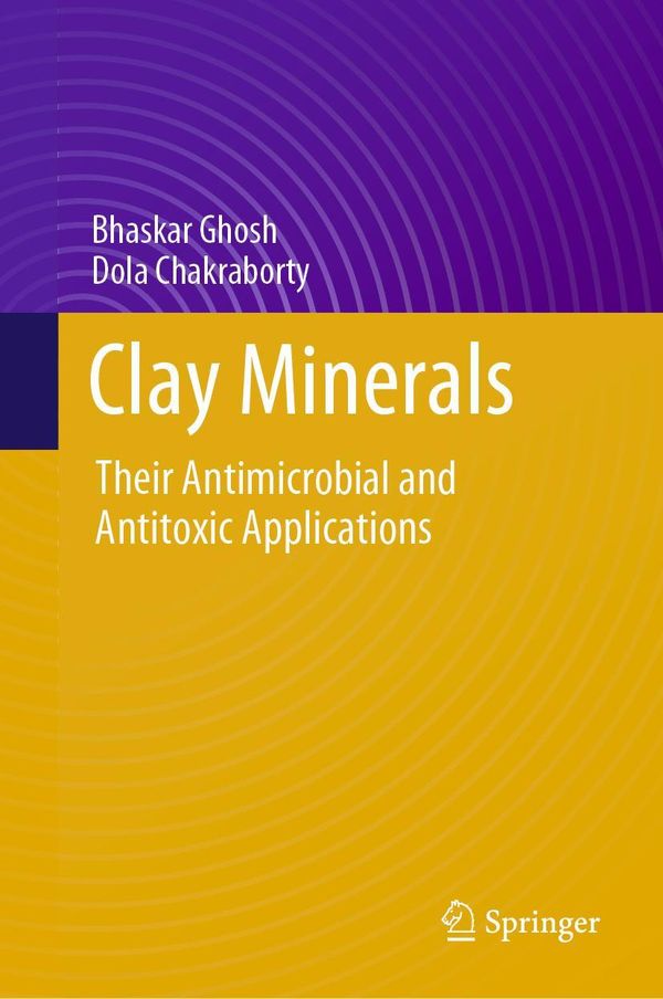 Clay Minerals - Bhaskar Ghosh (Buch)