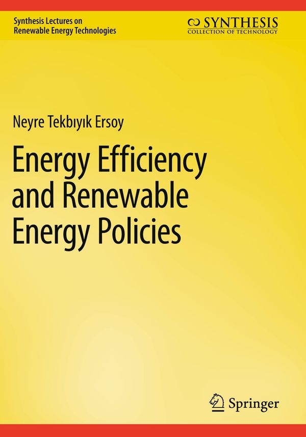 Energy Efficiency and Renewable Energy Policies (Buch)