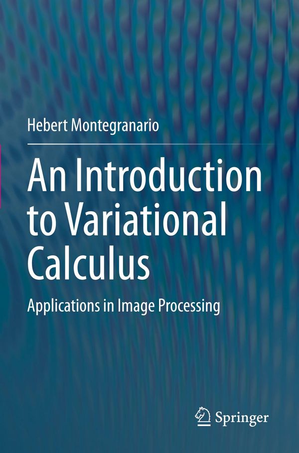 An Introduction to Variational Calculus - Hebert Montegranario (Buch)