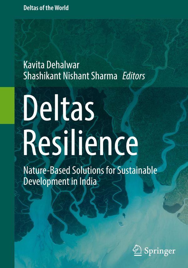 Deltas Resilience