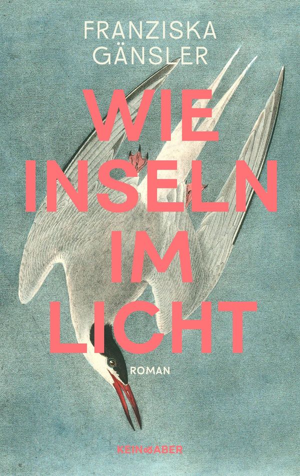 Wie Inseln im Licht - Franziska Gänsler (Buch)