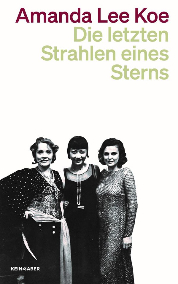 Die letzten Strahlen eines Sterns - Amanda Lee Koe (Buch)