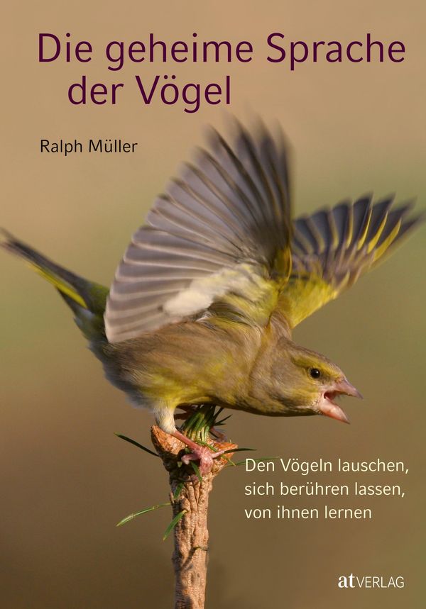 Die geheime Sprache der Vögel - Ralph Müller (Buch)