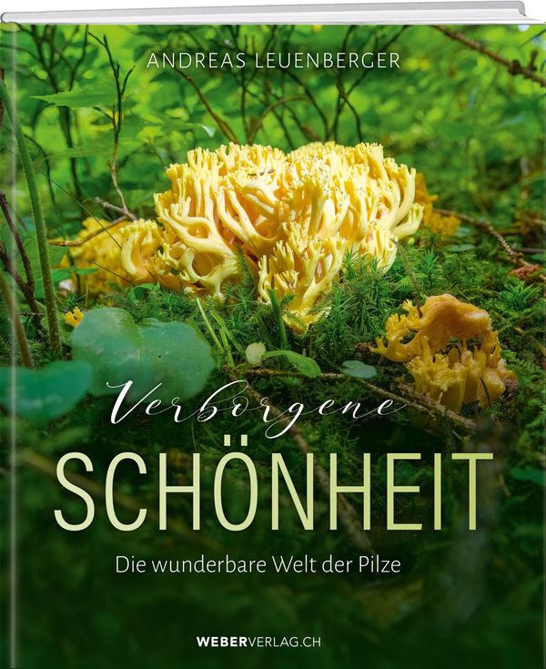 Verborgene Schönheit - Andreas Leuenberger (Buch)