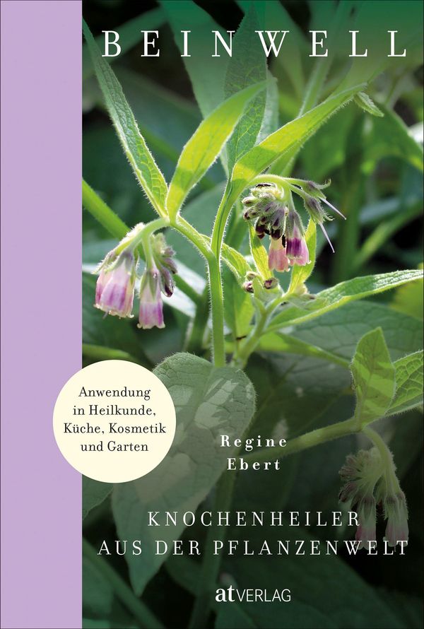Beinwell - Regine Ebert (Buch)