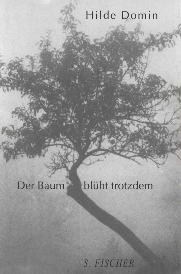 Der Baum blüht trotzdem - Hilde Domin (Buch)