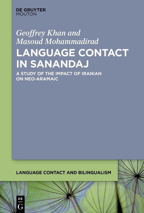 Language Contact in Sanandaj - Masoud Mohammadirad (Buch)