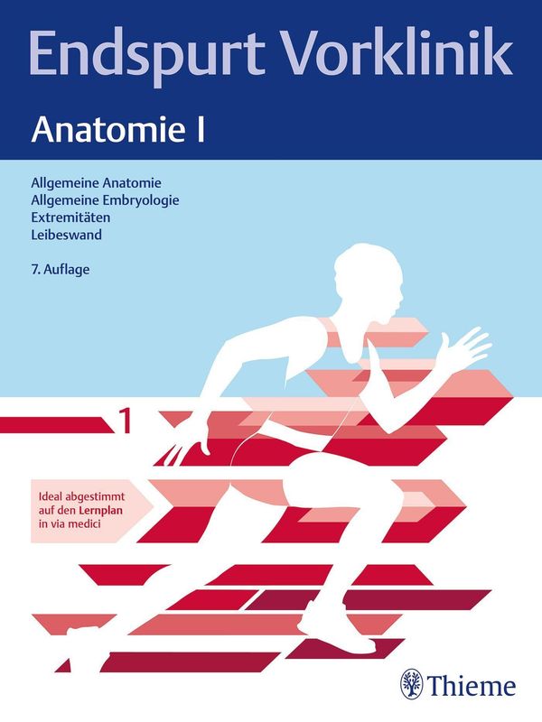 Endspurt Vorklinik: Anatomie I (Buch)