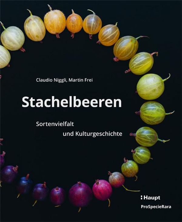 Stachelbeeren - Claudio Niggli (Buch)