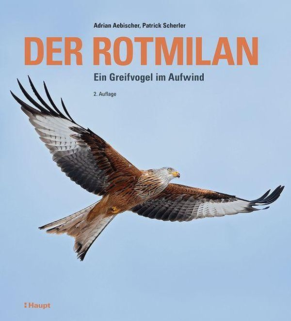 Der Rotmilan - Adrian Aebischer (Buch)